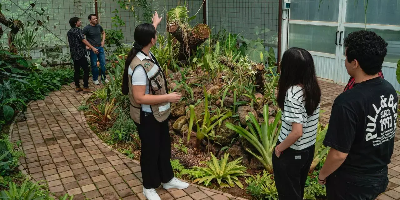 CONOCE Y DISFRUTA DE LAS ACTIVIDADES ESPECIALES DEL CACAO EN JARDÍN BOTÁNICO CULIACÁN