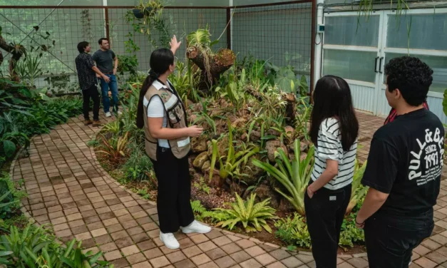 CONOCE Y DISFRUTA DE LAS ACTIVIDADES ESPECIALES DEL CACAO EN JARDÍN BOTÁNICO CULIACÁN