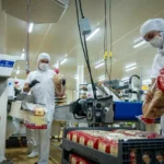 CULIACÁN SUMA MÁS DE 10 MIL EMPLEOS FORMALES EN AGOSTO Y MUESTRA SIGNOS DE RECUPERACIÓN