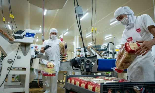 CULIACÁN SUMA MÁS DE 10 MIL EMPLEOS FORMALES EN AGOSTO Y MUESTRA SIGNOS DE RECUPERACIÓN