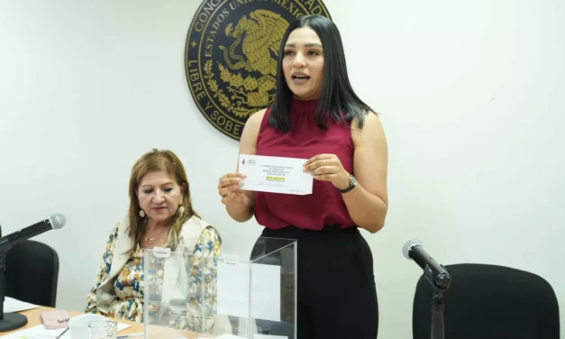 DIPUTADAS Y DIPUTADOS ELIGEN A LAS Y LOS JÓVENES QUE SERÁN GALARDONADOS CON EL PREMIO AL MÉRITO JUVENIL 2025