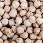 INICIA GOBIERNO DEL ESTADO ENTREGA DE SEMILLAS A PRODUCTORES TEMPORALEROS DE SINALOA, ANUNCIA SECRETARIO DE AGRICULTURA
