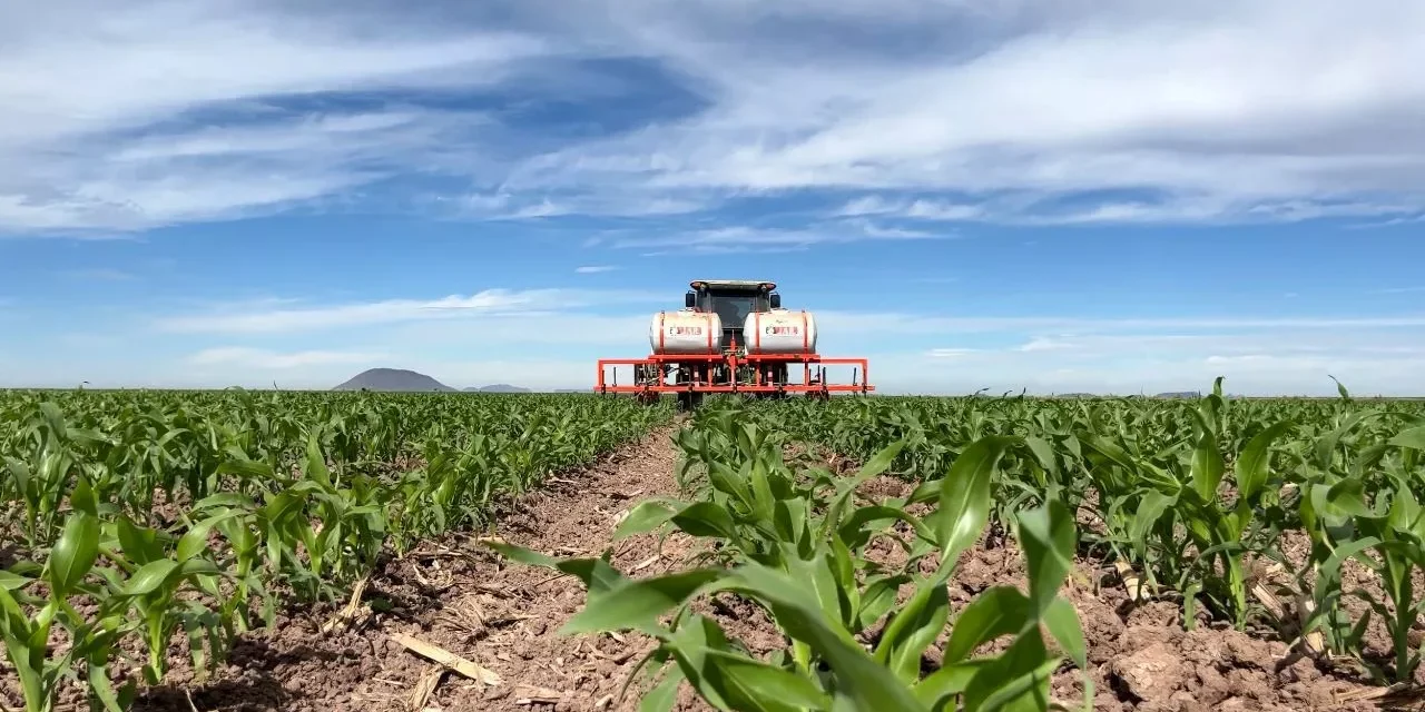 INSUMOS ENCARECEN EL PRÓXIMO CICLO AGRÍCOLA EN SINALOA