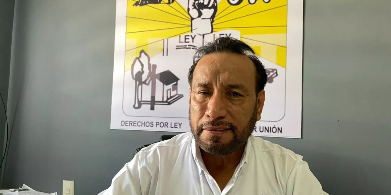 LLAMAN A FRENAR CONTRABANDO DE AZÚCAR Y A REPLANTEAR POLÍTICA AGROPECUARIA