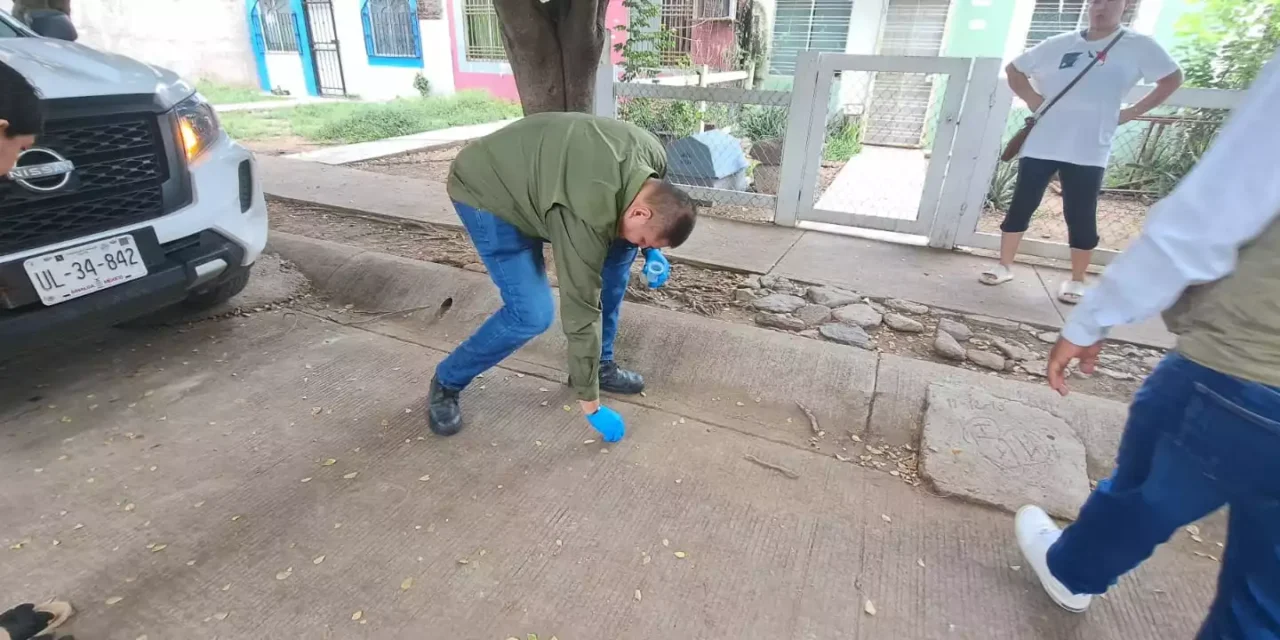 MUNICIPIO Y ESTADO UNEN ESFUERZOS CONTRA BROTE DE GARRAPATAS EN SAN FERMÍN