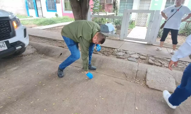 MUNICIPIO Y ESTADO UNEN ESFUERZOS CONTRA BROTE DE GARRAPATAS EN SAN FERMÍN