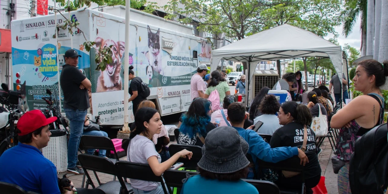 MUY CONCURRIDO EL SEGUNDO DÍA DE LA CAMPAÑA DE ESTERILIZACIÓN EN EL AYUNTAMIENTO DE CULIACÁN