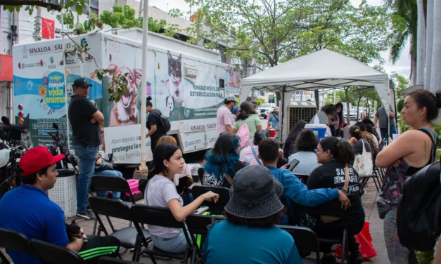 MUY CONCURRIDO EL SEGUNDO DÍA DE LA CAMPAÑA DE ESTERILIZACIÓN EN EL AYUNTAMIENTO DE CULIACÁN