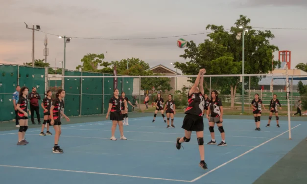 VALLE ALTO VIBRA CON LA COPA DE VOLEIBOL INTER LOBAS