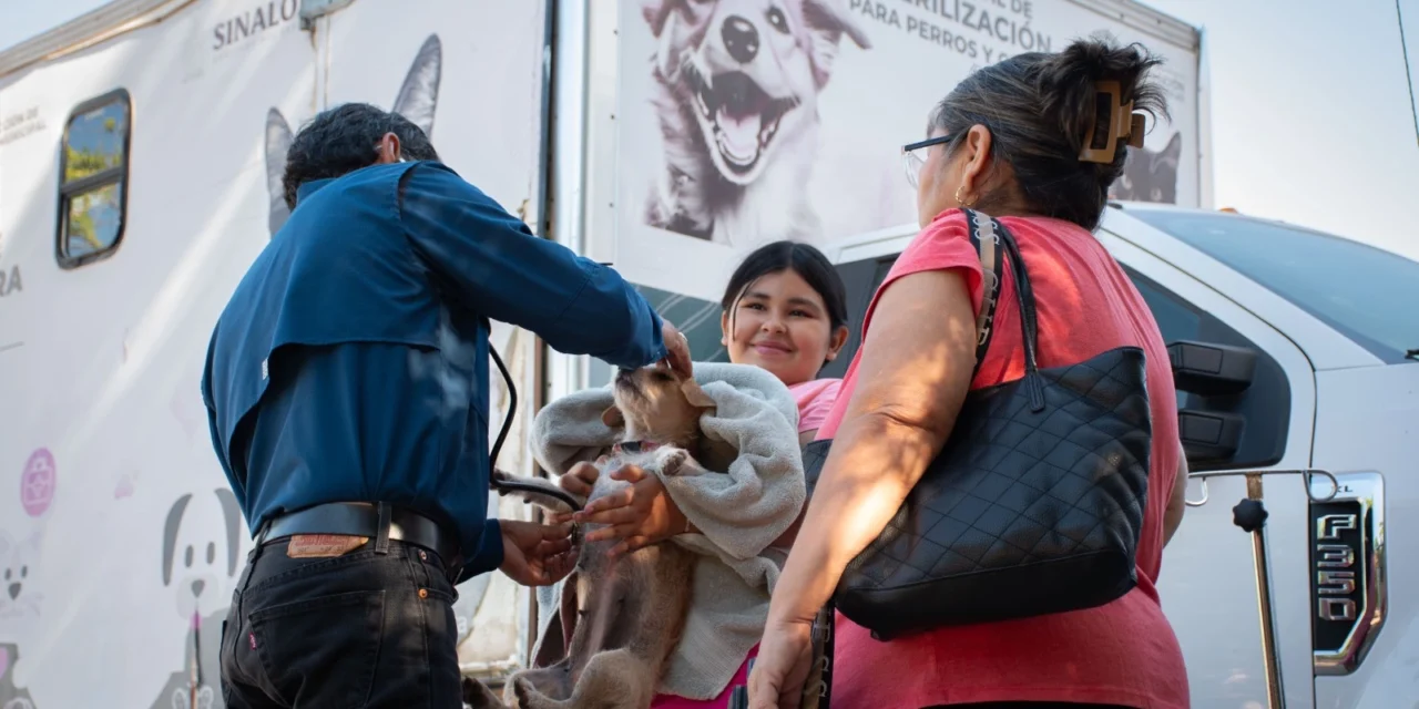 HABITANTES DEL SECTOR EL VALLADO ACUDEN A LA JORNADA PERMANENTE DE ESTERILIZACIÓN DE MASCOTAS