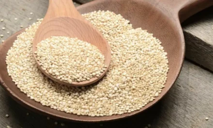 PRODUCTORES VEN OPORTUNIDAD DE EXPORTAR SORGO A CHINA