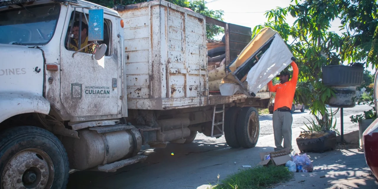 REALIZAN JORNADA DE DESCACHARRIZACIÓN EN LOMAS DE SAN ISIDRO PARA PREVENIR EL DENGUE