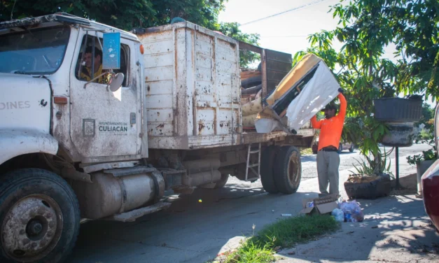 REALIZAN JORNADA DE DESCACHARRIZACIÓN EN LOMAS DE SAN ISIDRO PARA PREVENIR EL DENGUE