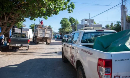 JORNADA DE DESCACHARRIZACIÓN ARRIBA HASTA LA COLONIA  ADOLFO LOPEZ MATEOS