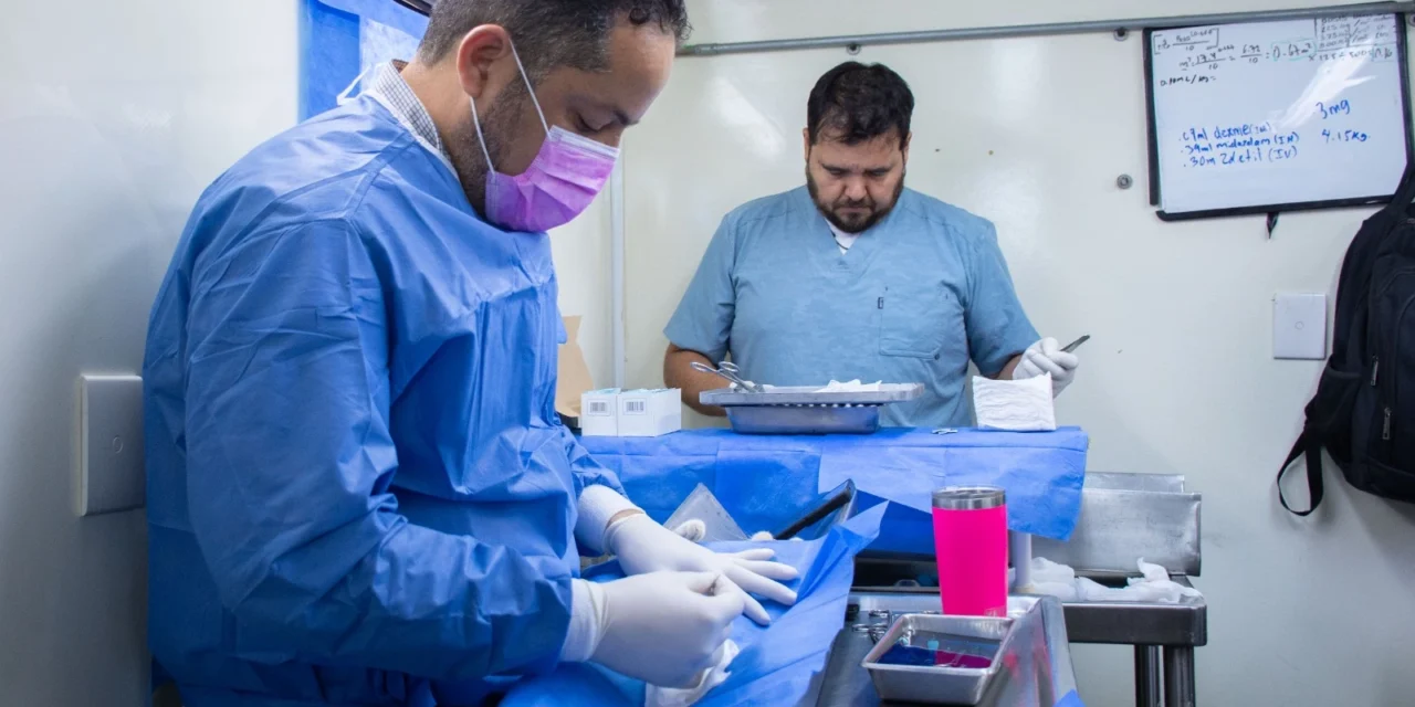 CONTINÚA LA JORNADA PERMANENTE DE ESTERILIZACIÓN GRATUITA EN LA UNIDAD DIF EL VALLADO