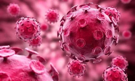 EL VIRUS DEL PAPILOMA HUMANO