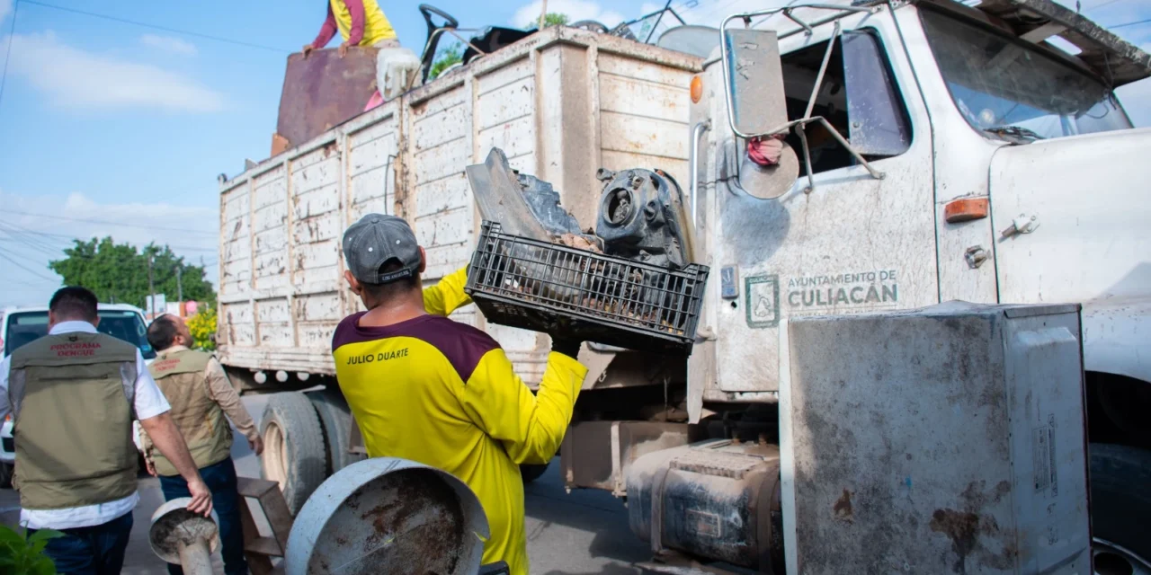 REALIZAN EXITOSA JORNADA DE DESCACHARRIZACIÓN EN LA COLONIA PLUTARCO ELÍAS CALLES