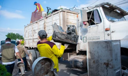 REALIZAN EXITOSA JORNADA DE DESCACHARRIZACIÓN EN LA COLONIA PLUTARCO ELÍAS CALLES