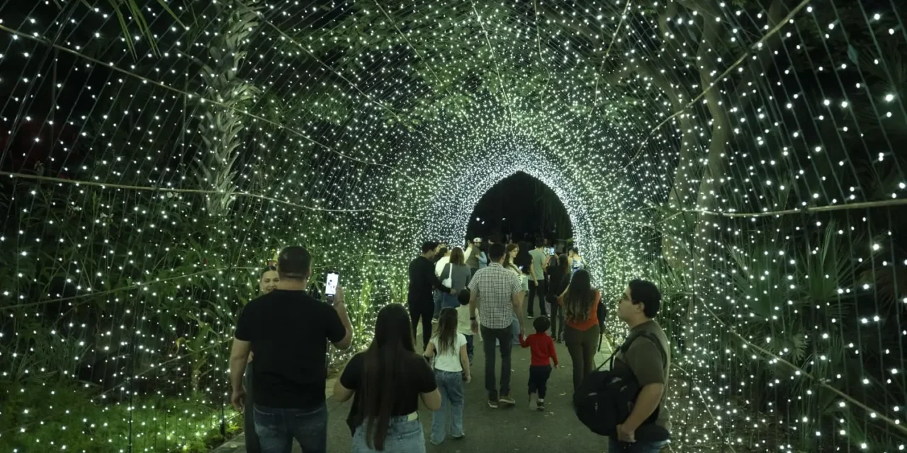 ABRE SUS PUERTAS NAVIDAD EN EL BOTÁNICO 2025, UN JARDÍN DE LUZ