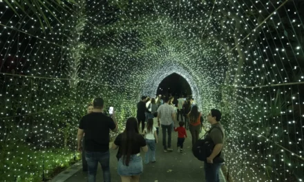 ABRE SUS PUERTAS NAVIDAD EN EL BOTÁNICO 2025, UN JARDÍN DE LUZ