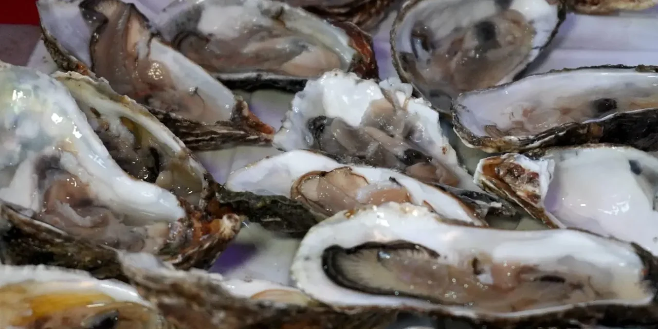 SINALOA SE PROYECTA A TRAVÉS DEL OSTIÓN