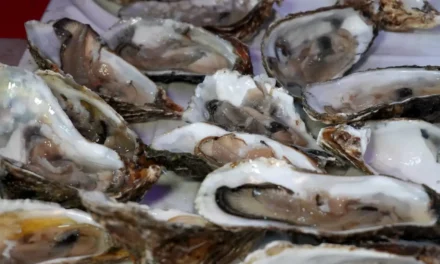 SINALOA SE PROYECTA A TRAVÉS DEL OSTIÓN