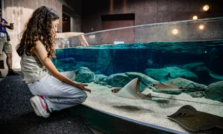 UN 2026 LLENO DE NOVEDADES PROYECTA GRAN ACUARIO: SIMON NORRIS