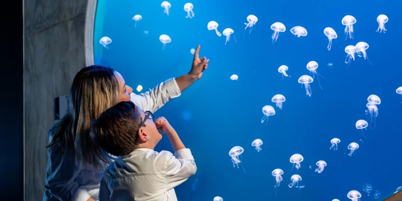 GRAN ACUARIO MAZATLÁN LANZA PAQUETE ESPECIAL PARA RESIDENTES LOCALES