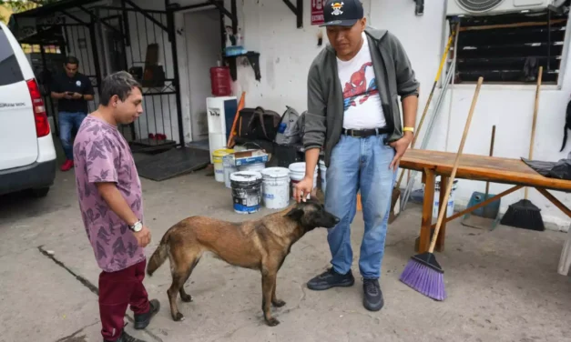EL TRABAJO DE PERSONAS CON CAPACIDADES EN CARNAVAL: UNA TRADICIÓN DE MÁS DE DOS DÉCADAS