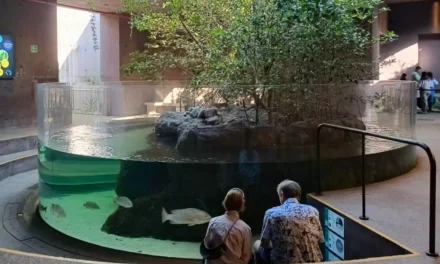GRAN ACUARIO MAZATLÁN: UNA EXPERIENCIA QUE DESPIERTA EMOCIONES Y CONECTA CON LA VIDA