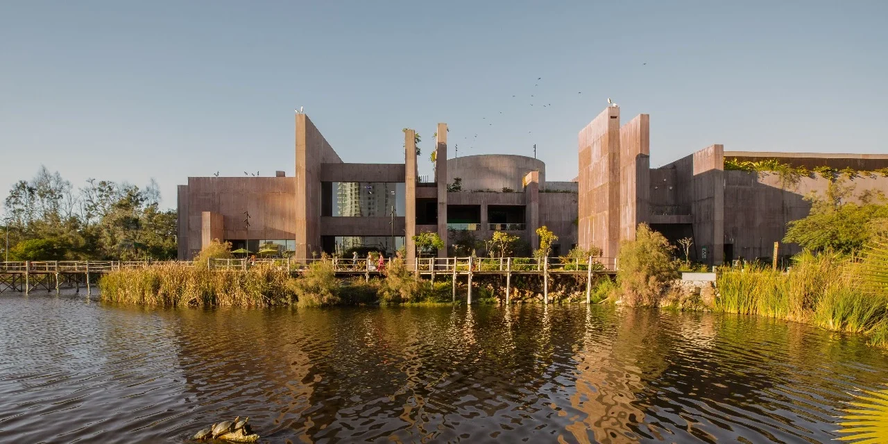 MÁS DE 850 ANIMALES RESCATADOS POR EL HOSPITAL DE LA FAUNA DEL GRAN ACUARIO, GUARDIÁN INCANSABLE DE LA FAUNA REGIONAL