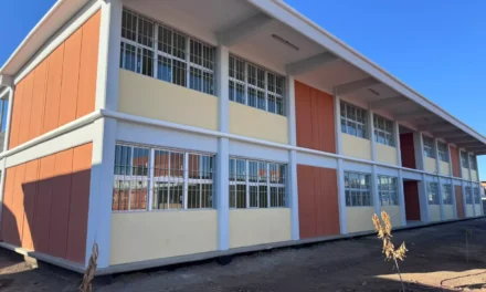 SECUNDARIA 101 DE VALLE ALTO