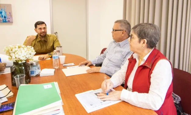 PROYECTOS CULTURALES COMUNITARIOS 2026 GANADORES