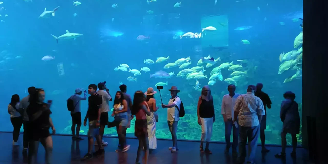 GRAN ACUARIO MAZATLÁN, HÁBITATS QUE CONECTAN CON EL MAR Y PROMOCIONES PARA TODOS LOS SINALOENSES