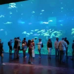 GRAN ACUARIO MAZATLÁN, HÁBITATS QUE CONECTAN CON EL MAR Y PROMOCIONES PARA TODOS LOS SINALOENSES