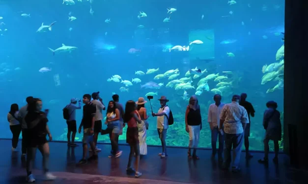 GRAN ACUARIO MAZATLÁN, HÁBITATS QUE CONECTAN CON EL MAR Y PROMOCIONES PARA TODOS LOS SINALOENSES