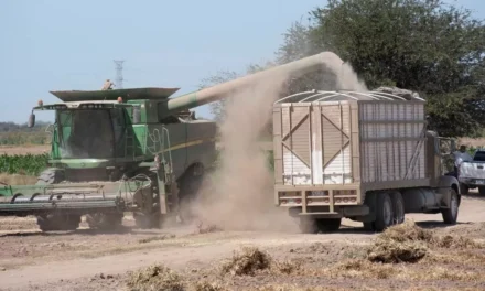 AUMENTO DEL PETRÓLEO PRESIONA COSTOS DE PRODUCCIÓN DEL MAÍZ