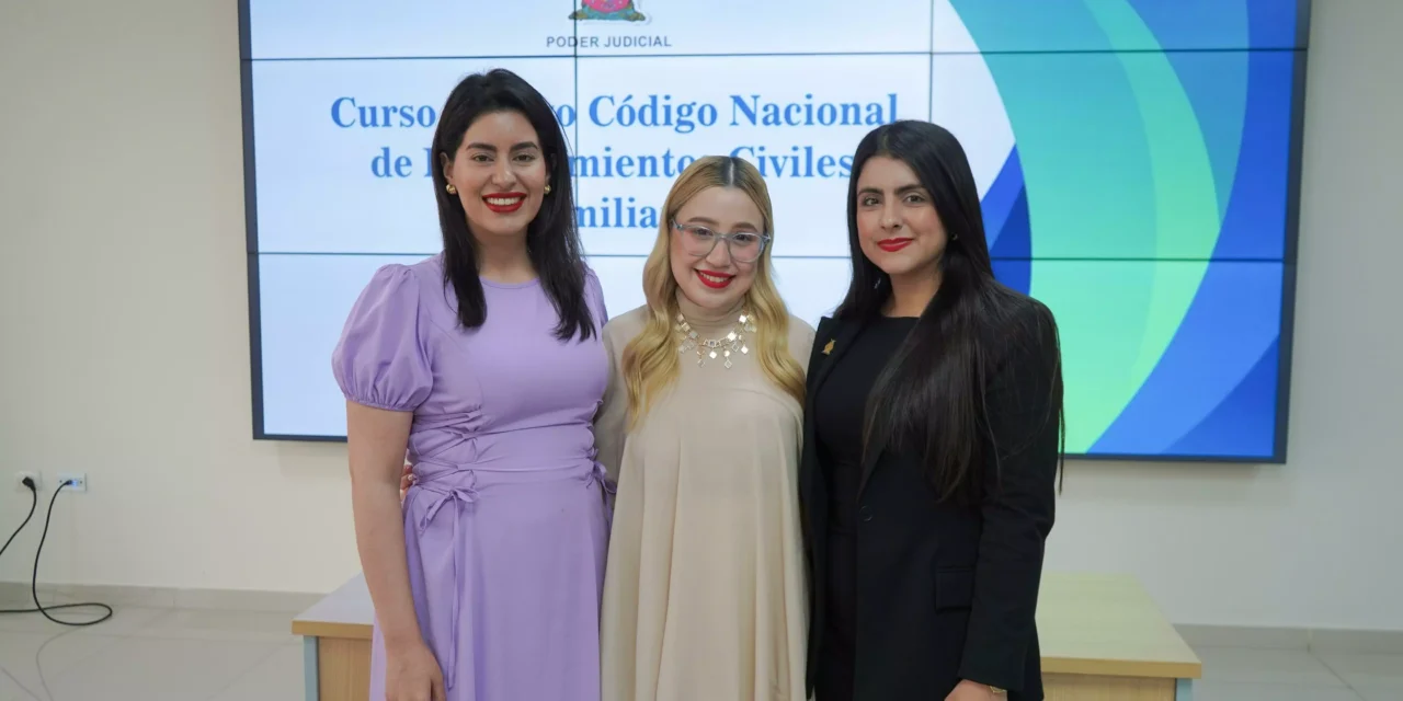 ABOGADAS VIOLETAS SE ACTUALIZAN SOBRE EL NUEVO CÓDIGO NACIONAL DE PROCEDIMIENTOS CIVILES Y FAMILIARES