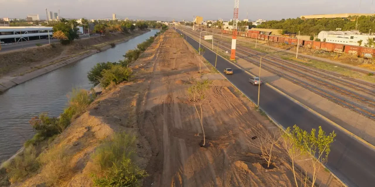 AVANZA TRANSFORMACIÓN VERDE EN EL EJE FEDERALISMO CON PLANTACIÓN DE ÁRBOLES