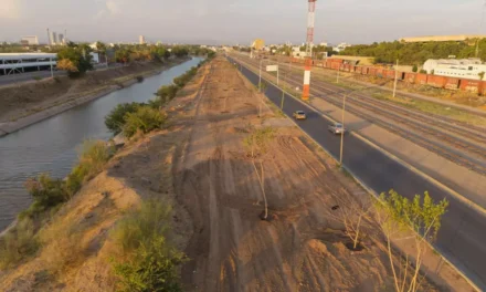 AVANZA TRANSFORMACIÓN VERDE EN EL EJE FEDERALISMO CON PLANTACIÓN DE ÁRBOLES