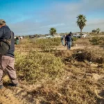 ¡GRAN ÉXITO EN EL BANDERAZO DE INICIO DEL PROGRAMA SINALOA LIMPIA TU PLAYA!