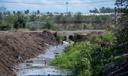 REFUERZA AYUNTAMIENTO DE CULIACÁN LIMPIEZA Y DESAZOLVE EN ARROYOS Y DRENES DE LA CIUDAD