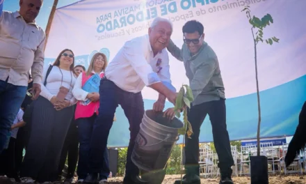 ELDORADO REVERDECE: SEBIDES IMPULSA GRAN JORNADA DE ARBORIZACIÓN CON PARTICIPACIÓN CIUDADANA