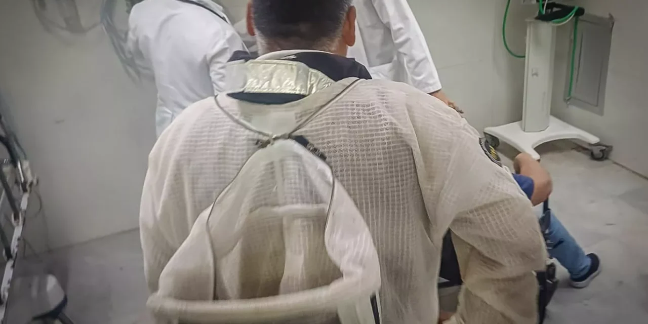 ATIENDE PC CULIACÁN EMERGENCIA POR ATAQUE DE ABEJAS EN LA COLONIA PEMEX