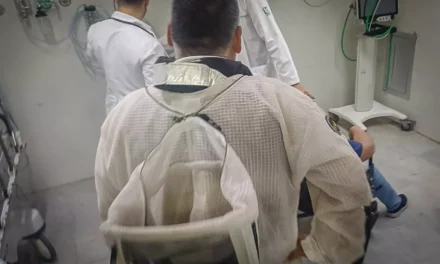 ATIENDE PC CULIACÁN EMERGENCIA POR ATAQUE DE ABEJAS EN LA COLONIA PEMEX