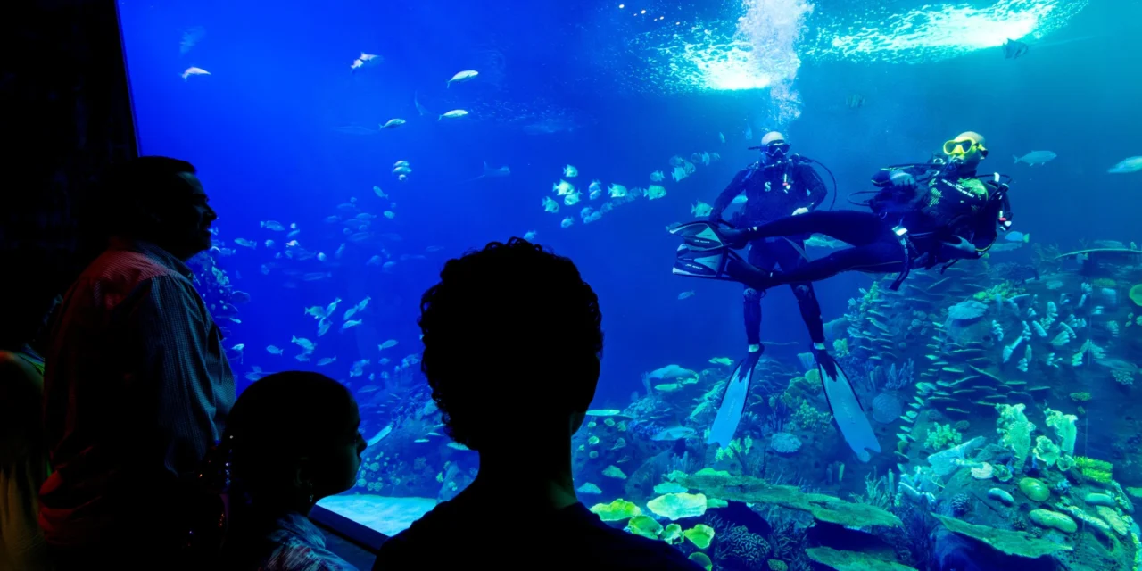 GRAN ACUARIO MAZATLÁN UNA CONEXIÓN ÚNICA CON LA VIDA MARINA