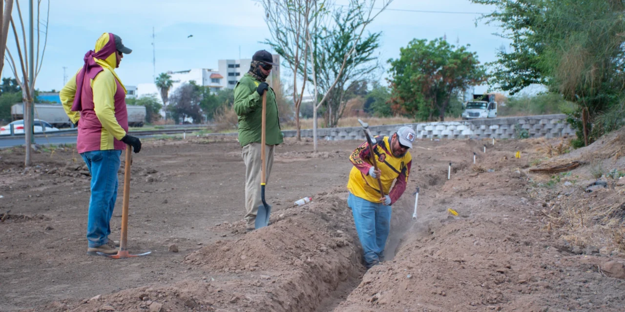 AVANZA PROYECTO DE INFRAESTRUCTURA VERDE EN EL EJE FEDERALISMO CON INSTALACIÓN DE SISTEMA DE RIEGO POR GOTEO
