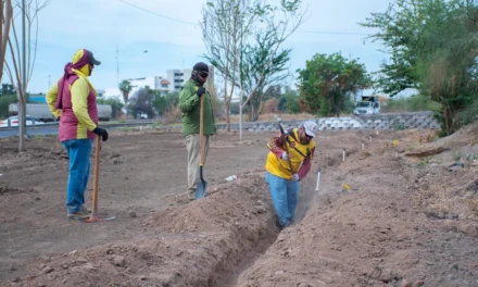 AVANZA PROYECTO DE INFRAESTRUCTURA VERDE EN EL EJE FEDERALISMO CON INSTALACIÓN DE SISTEMA DE RIEGO POR GOTEO