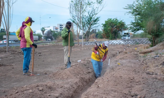 AVANZA PROYECTO DE INFRAESTRUCTURA VERDE EN EL EJE FEDERALISMO CON INSTALACIÓN DE SISTEMA DE RIEGO POR GOTEO