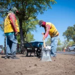 AVANZA REHABILITACIÓN DE CAMELLÓN EN BULEVAR JOSÉ LIMÓN